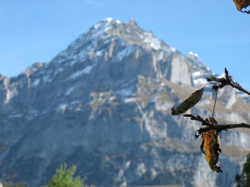 Hotel Gletschertal Grindelwald Luaran gambar